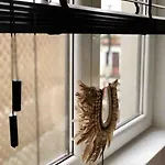 Apartment Zeehuys 100m Zee Dichtbij Brugge Blankenberge