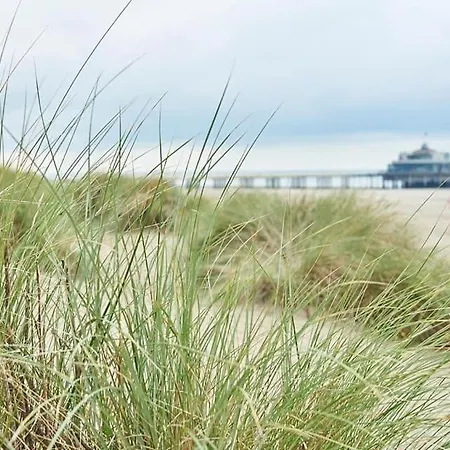Zeehuys 100m Zee Dichtbij Brugge *