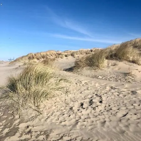 Zeehuys 100m Zee Dichtbij Brugge Blankenberge