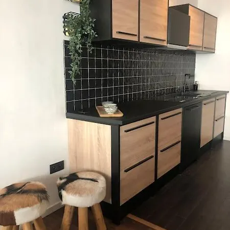 Zeehuys 100m Zee Dichtbij Brugge Apartman Blankenberge