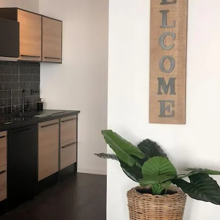 Apartment Zeehuys 100m Zee Dichtbij Brugge Blankenberge