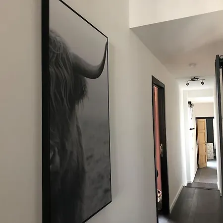 Zeehuys 100m Zee Dichtbij Brugge Blankenberge