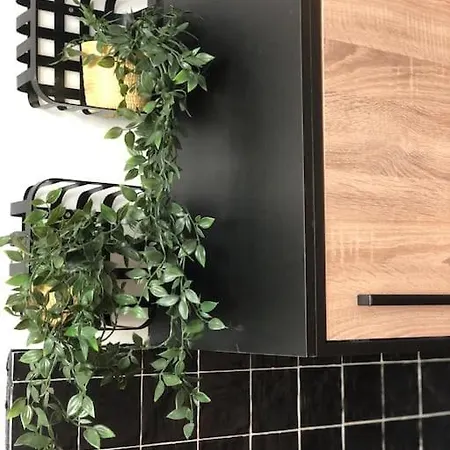 Apartment Zeehuys 100m Zee Dichtbij Brugge Blankenberge