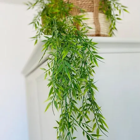 Apartman Zeehuys 100m Zee Dichtbij Brugge *