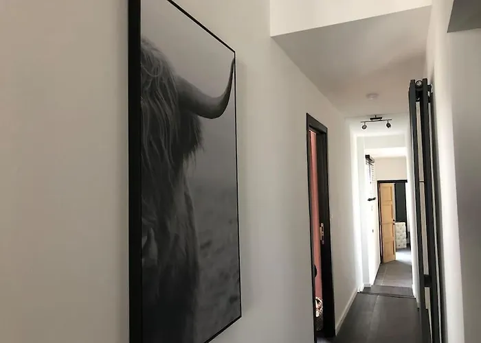 Zeehuys 100m Zee Dichtbij Brugge Blankenberge